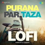 Purana Par Taza - Lofi - Hriday Gattani Song Download